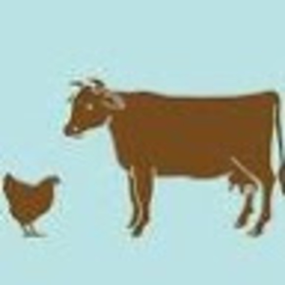 Meet your Posher, David - Picture 1 of 1